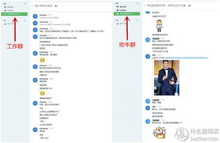 原創新人省小錢辦大事 群暉DS216 II網絡存儲NAS服務器搭建數據中心靠譜嗎？
